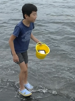 館山の海