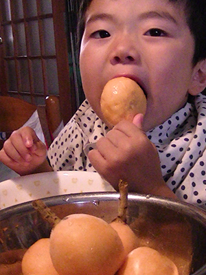 びわを食べる晶悟の写真